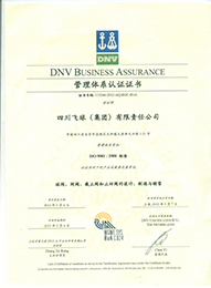 ISO9001：2008管理體系認(rèn)證證書(shū)【四川飛球（集團(tuán)）有限責(zé)任公司】1